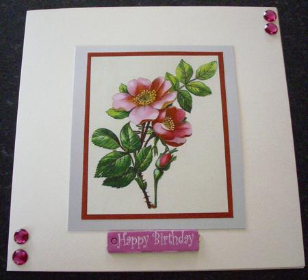 Pretty Pink and Red Floral Toppers by Frances Finnerty