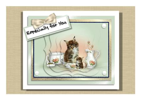Cute Washday Kittens by Frances Dent