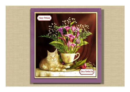Cat with Bouquet Pyramid and Sentiments by Frances Dent