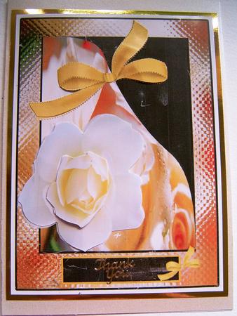 White Rose and Gold by Frances Dent