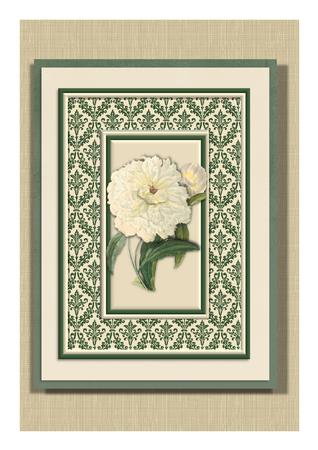 Cream Flowers on Damask Quick Card by Frances Dent