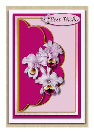 For a Special Lady Best Wishes Envelope Card by Frances Dent