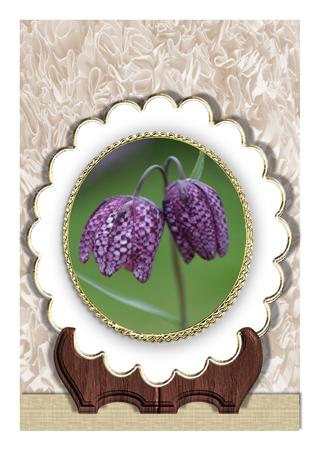 Scallop Edge Plates in White by Frances Dent