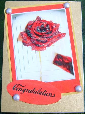 Perfect in Red by Frances Dent