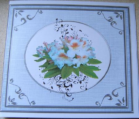 Square 'silver Metallic Frame' Card Fronts Kit by Frances Dent