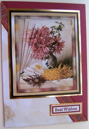 White Poinsettia Background by Frances Dent