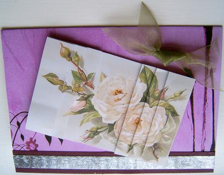 White Rose by Frances Dent