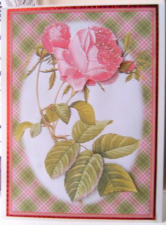 Red Rose A4 Topper/card by Frances Dent
