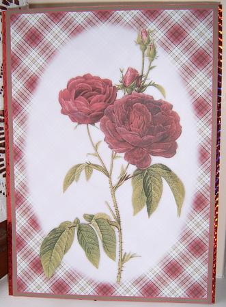 Deep Red Roses A4 Card/topper by Frances Dent