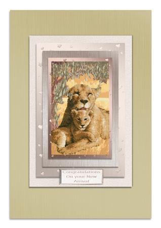 Elegant Romance Matching Vellum by Frances Dent