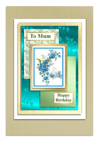 Aqua Floral Santa Backing by Frances Dent
