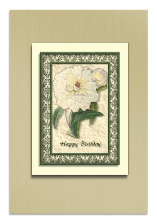 Cream Flower Quick Card by Frances Dent