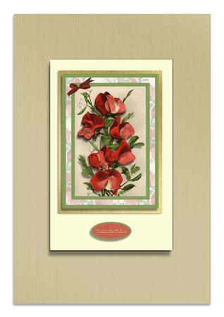 Sweet Peas for Mum by Frances Dent