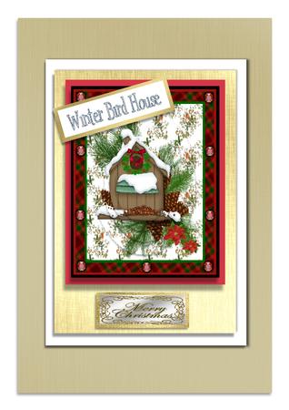 Winter Bird House by Frances Dent