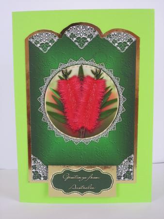 Australian Bottlebrush Birthday or Greeting by Gabrielle Byrne