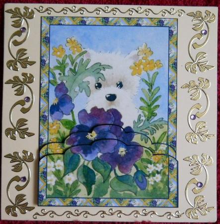 Westie with Pansies by Gail Pennycuick