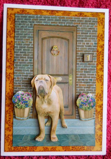 Dogue De Bordeaux on a Door Step by Gail Pennycuick