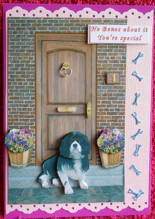 Cavalier King Charles Spaniel on a Door Step by Gail Pennycuick