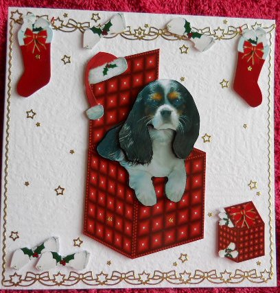 Cavalier King Charles Spaniel Christmas Box by Gail Pennycuick