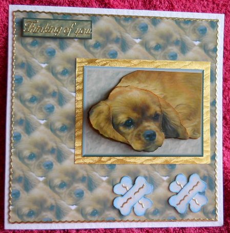 Cavalier King Charles Spaniel 3D Decoupage with Background by Gail Pennycuick