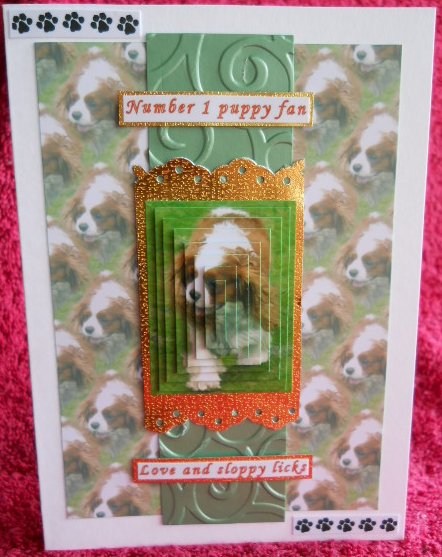 Cavalier King Charles Spaniel Walking Pyramid with Background by Gail Pennycuick