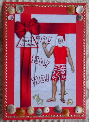 Aussie Santa in Boardys Christmas by Gail Pennycuick