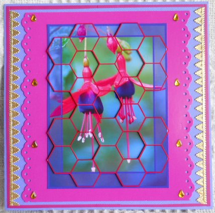 Fantastic Fuchsia! Hexagonal Patchoupage by Gail Pennycuick