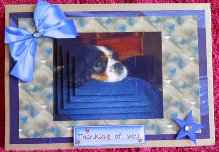 My Little Star Cute Little Puppy Pyramids by Gail Pennycuick