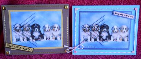 Odd One Out by Gail Pennycuick