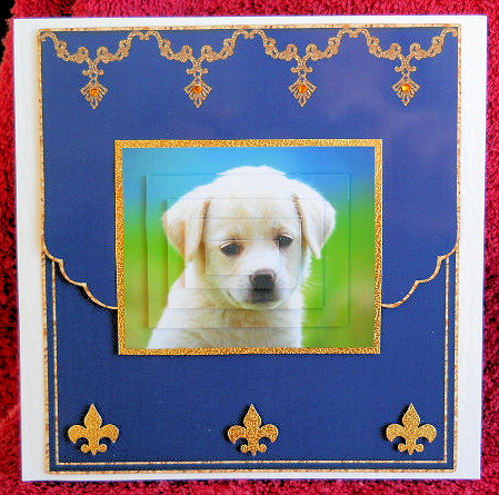 Scalloped Edge Blank Card with Swirly Border 6 by Gail Pennycuick