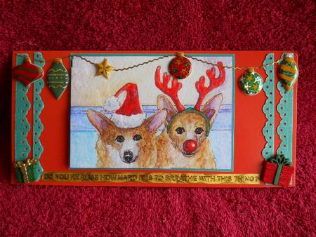 But -  I Don't Want to Be Rudolph Wavy Corner Stacker Topper by Gail Pennycuick