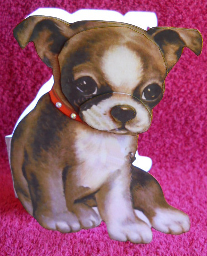 Dog Shaped Birthday Card by Gail Pennycuick