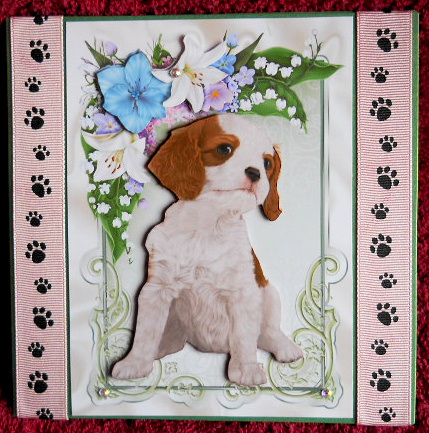 Cute Cavalier in Floral Frame A4 by Gail Pennycuick