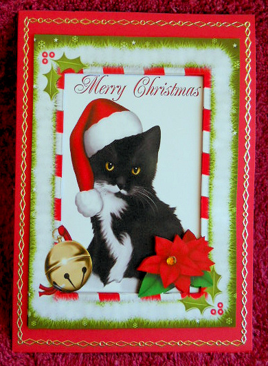 Lovely Black Kitty in Red Santa Hat A4 by Gail Pennycuick