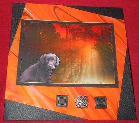 Black "labrador" Forest by Gail Pennycuick