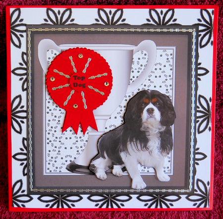 Cavalier King Charles Spaniel Trophy & Rosette 8x8 Card by Gail Pennycuick