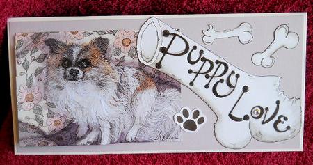 I Am Soooo Cute! Long-haired Chihuahua - Wavy Corner Stacker by Gail Pennycuick