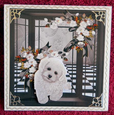 Window with Cute Puppy Black and Withe by Gail Pennycuick