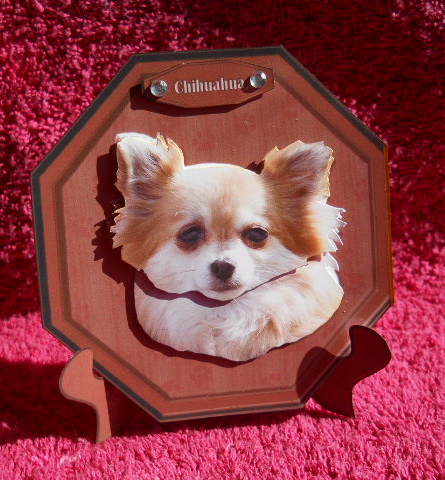 Chihuahua Plaque & Stand by Gail Pennycuick
