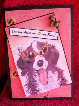 Sheepdog in Shades. Hello Puppies! Wavy Corner Stacker by Gail Pennycuick