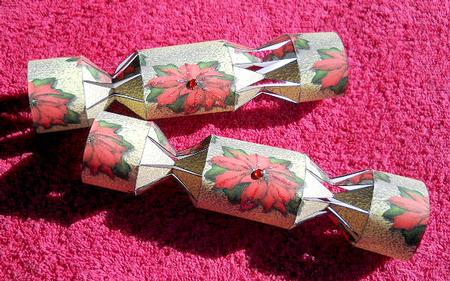 Poinsettia Christmas Cracker by Gail Pennycuick