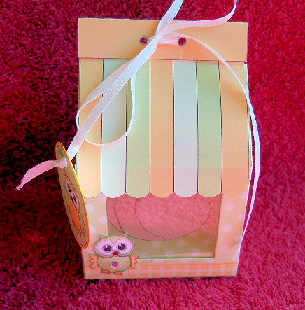 3D Cute Owls Carton Cupcake or Treat Box Mini Kit by Gail Pennycuick