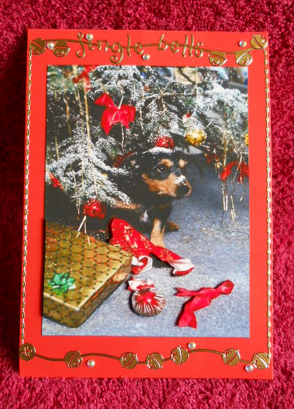 A4 What Have You Done ? by Gail Pennycuick