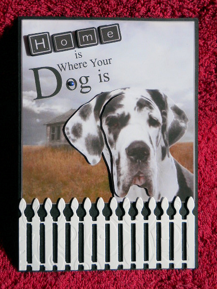 Home with Harlequin Great Dane Dog and Decoupage by Gail Pennycuick