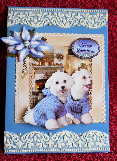 Look What Santa Bought Us for Christmas by Gail Pennycuick