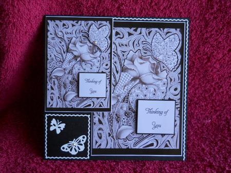 Doodled Rose by Gail Pennycuick