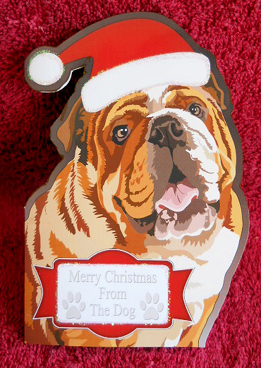 Merry Christmas from the Bulldog Cut'n'fold Card by Gail Pennycuick