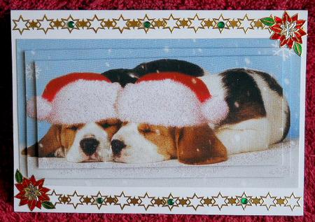 Cute Little Puppies in Santa Hats,pyramids by Gail Pennycuick