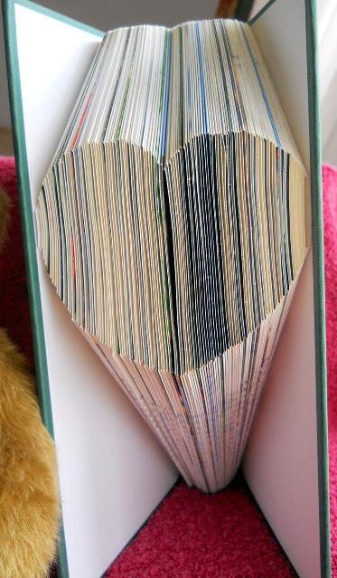 Soft Heart by Gail Pennycuick