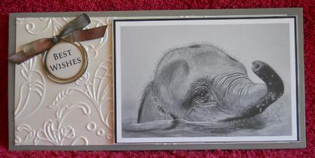 Pencil Elephant by Gail Pennycuick